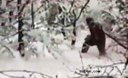 俄罗斯拍到雪怪 体型巨大全身长满毛